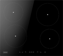 Induktionsfeld Reparatur Riesa
